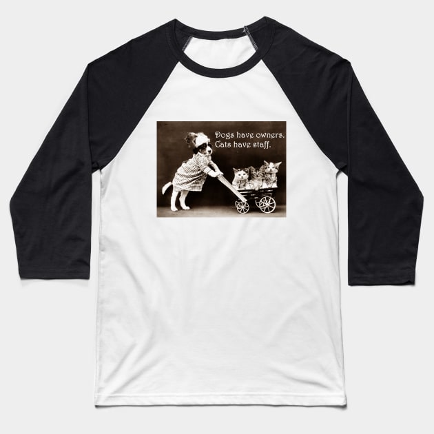 Dogs Have Owners, Cats Have Staff Baseball T-Shirt by Naves